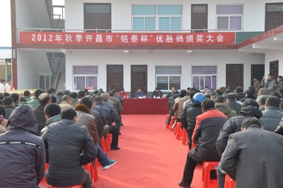 河南许昌铭泰赛鸽公棚-中国信鸽信息网各地公棚